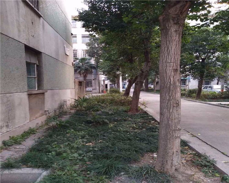 花园新村,怀德中路63号