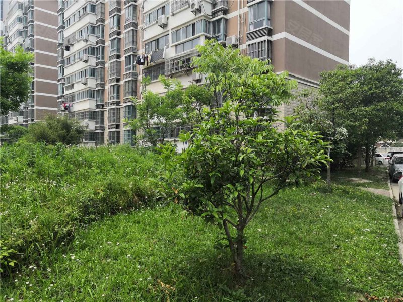 旺旺家缘,杭州路-淮安旺旺家缘二手房,租房,房价-淮安安居客