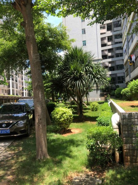 丽晶花园,秀英大道53号-海口丽晶花园二手房,租房,房价-海口安居客