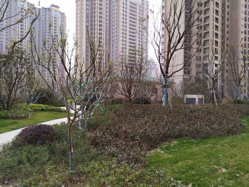 京华青庭,同泰路-扬州京华青庭二手房,租房,房价-扬州安居客