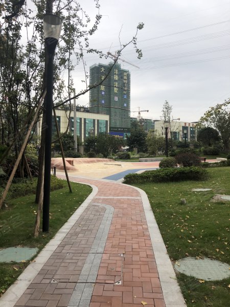 协信星澜汇(四期)