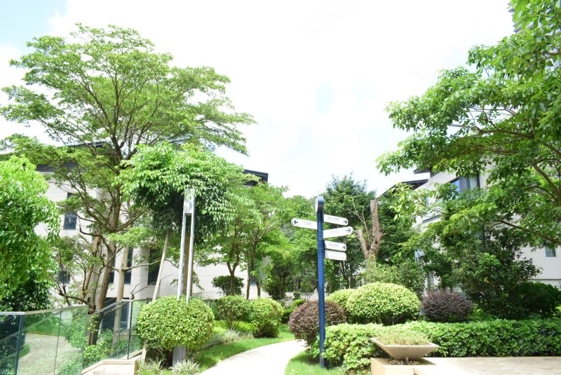 中海银海湾(别墅)