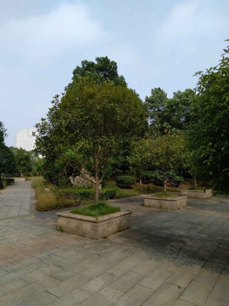 淞雅苑,滨湖路1号-长沙淞雅苑二手房,租房,房价-长沙安居客