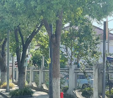 桃园新村(青浦)