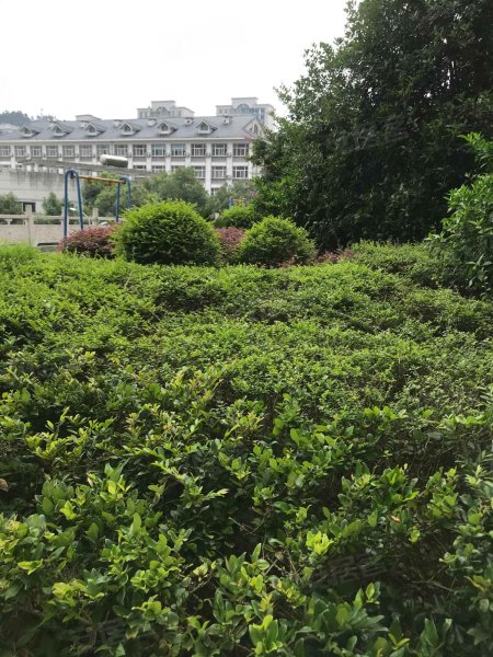 国华御景,兰蕙路-宜昌国华御景二手房,租房,房价-宜昌安居客