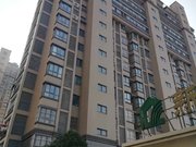 新能源铂金公馆