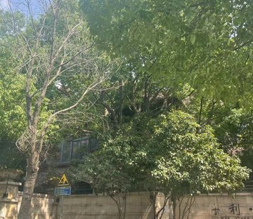 保利叶上海(一期别墅)