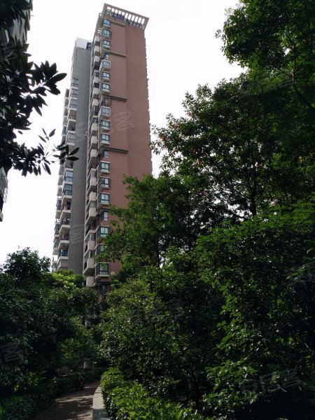 丽岛柳园(南区)