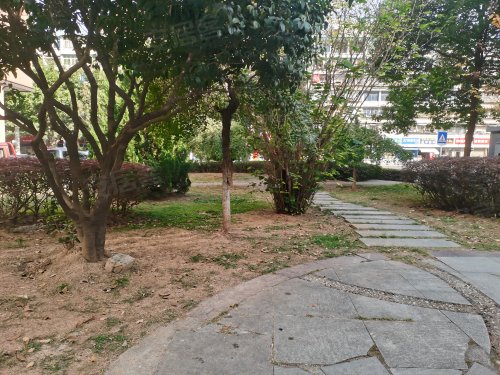 馨岛国际名苑,东山大道 - 宜昌馨岛国际名苑二手房,租房,房价-宜昌