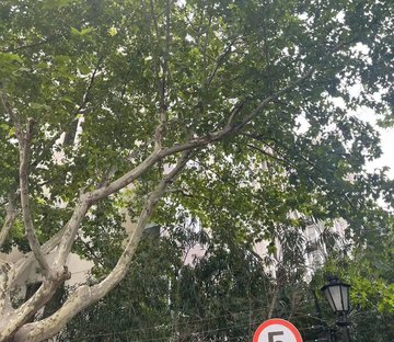 翠湖天地雅苑(别墅)