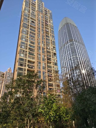 降价急售 央央春天 南北通透 南面大阳台 2号线地铁口地段好