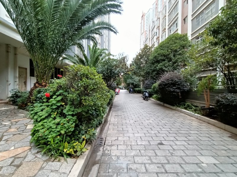 龙泽园,祥和路26号-曲靖龙泽园二手房,租房,房价-曲靖安居客