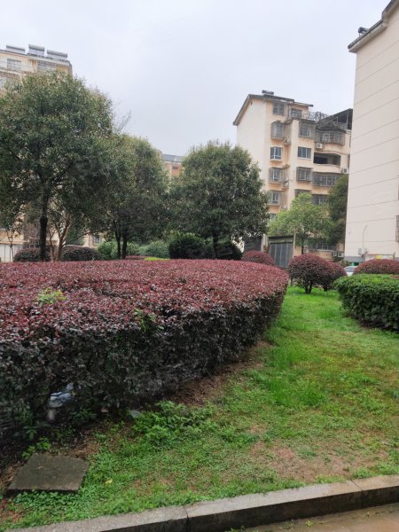 金辉小区,建康路186号-岳阳金辉小区二手房,租房,房价-岳阳安居客