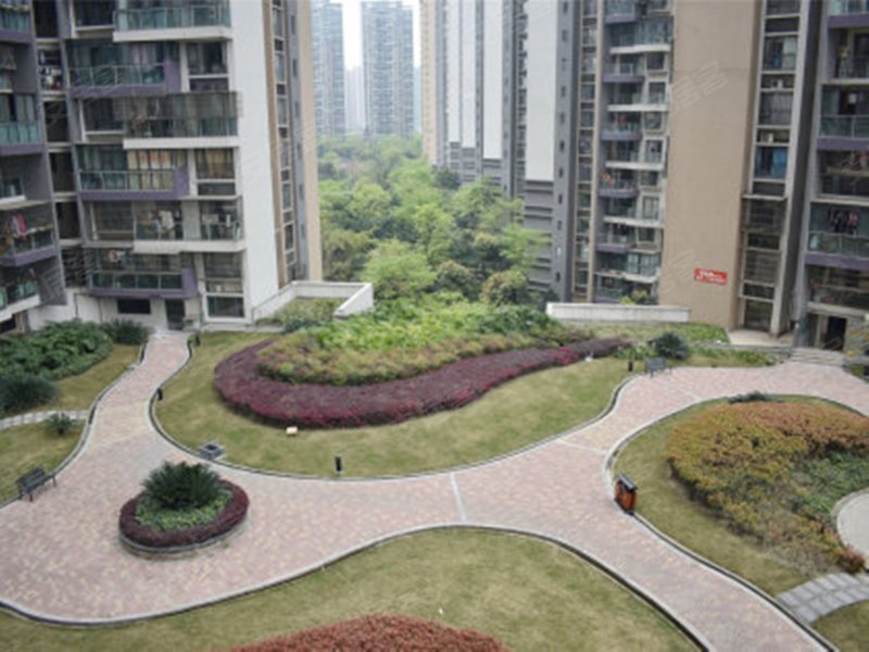 万景峰(西区商住楼)