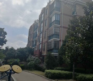 金港花园(二期公寓住宅) 商品住宅 大两居 电梯房 楼层好