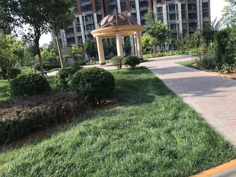 锦绣鹏城,永康街-邢台锦绣鹏城二手房,租房,房价-邢台安居客