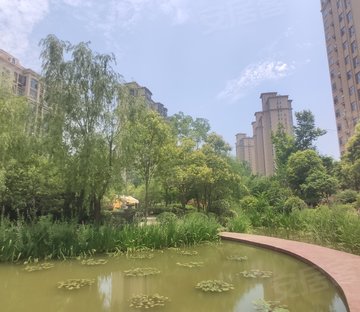 香榭丽舍
