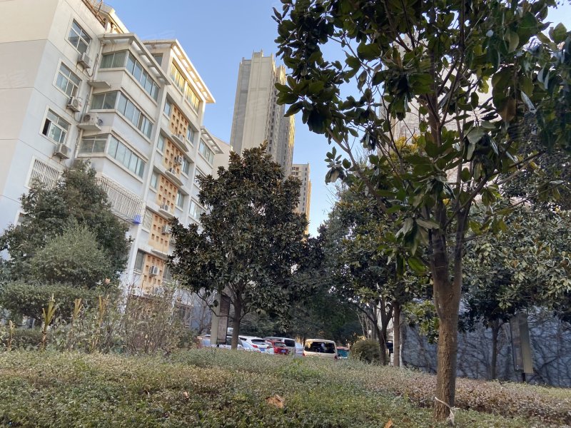 绿苑小区(金水)