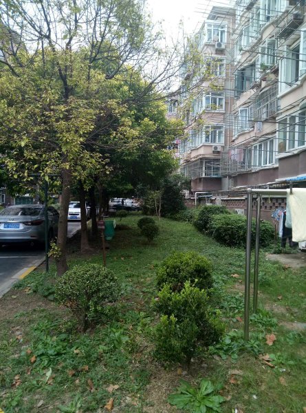 沙申新村,沪青平公路635弄1-33号-上海沙申新村二手房,租房,房价-上海