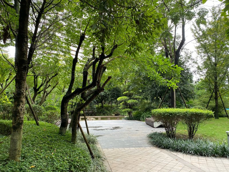 丽雅龙城,望江路,近外江路-宜宾丽雅龙城二手房,租房,房价-宜宾安居客