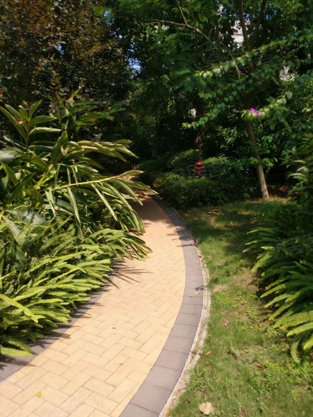 观棠晓月(一期)