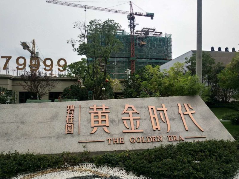 碧桂园黄金时代