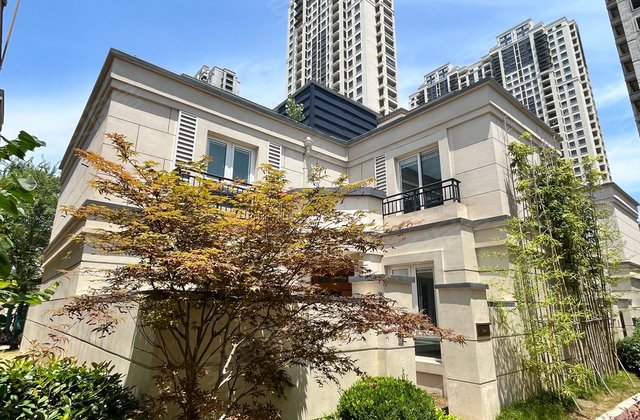 银城孔雀城依澜郡(别墅)3室2厅109.28㎡100万二手房图片