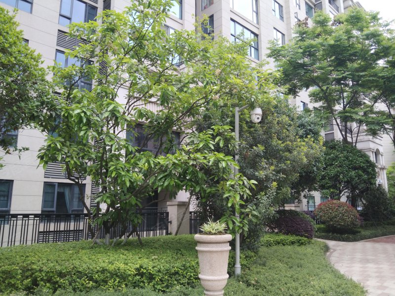 嘉裕第六洲龙泽台