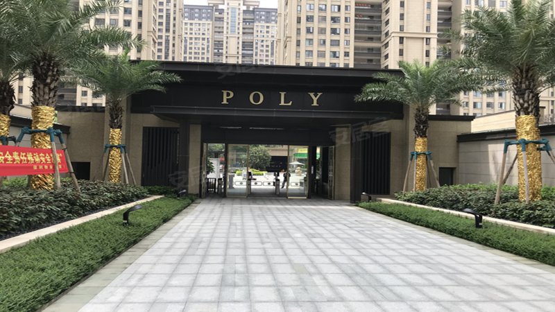 保利金香槟
