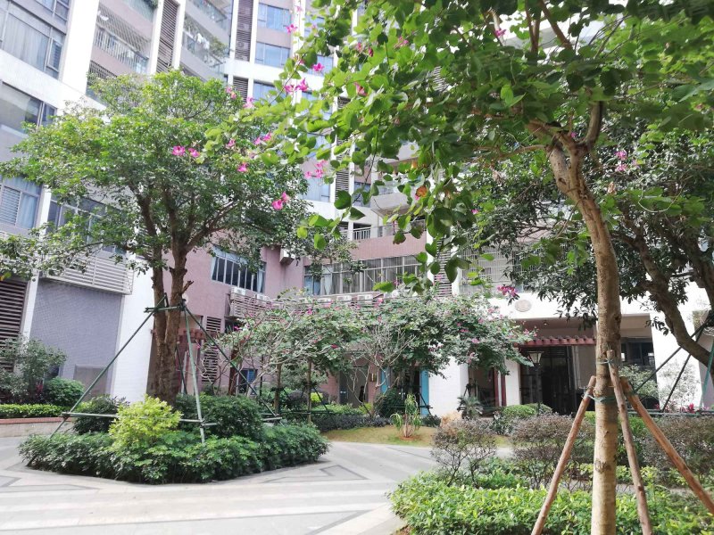 水木清华,人民大道-湛江水木清华二手房,租房,房价-湛江安居客