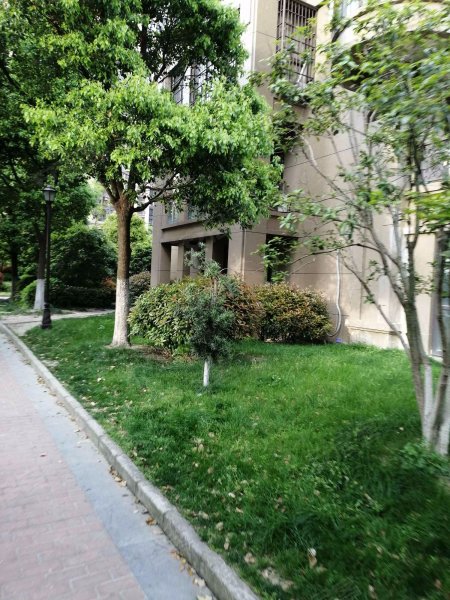 信远朗庭,中环西路2346号-嘉兴信远朗庭二手房,租房,房价-嘉兴安居客