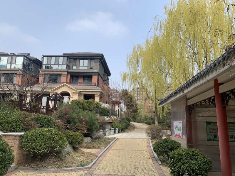 泰山新湖绿园,府东路1号-泰安泰山新湖绿园二手房,租房,房价-泰安安居