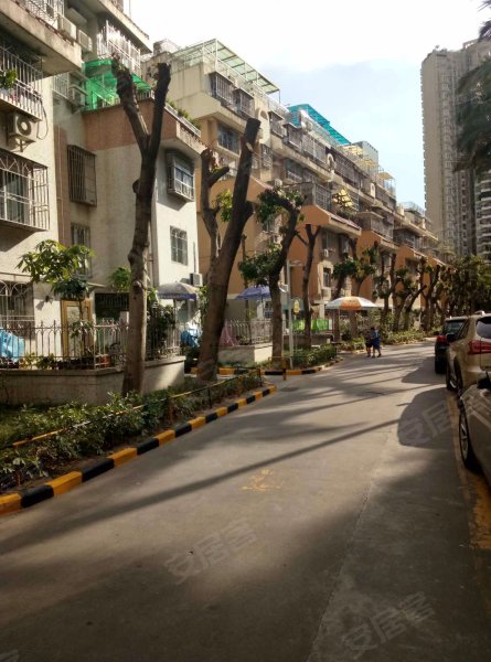 福莲花园,红荔路5011号-深圳福莲花园二手房,租房,房价-深圳安居客