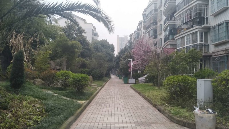 绿苑小区三期天源居