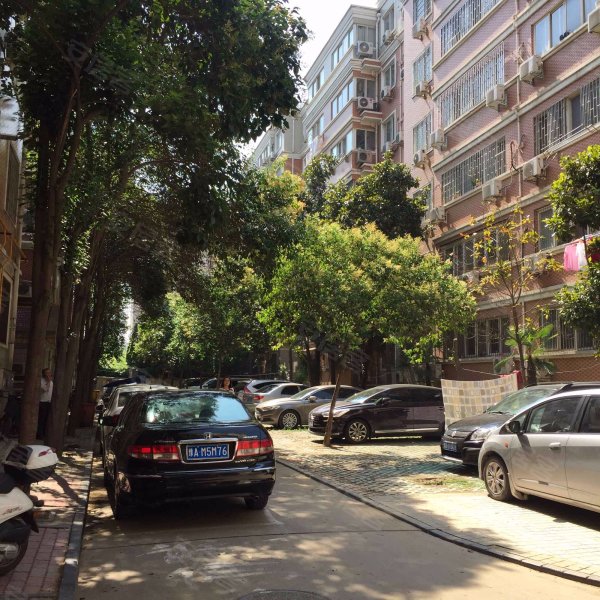 东明滨河苑,东明路北38号-郑州东明滨河苑二手房,租