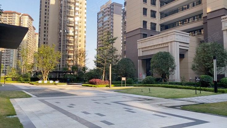 金科观天下(b区)