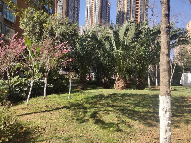 海伦国际海伦区,金源大道3180号-昆明海伦国际海伦区二手房,租房,房价