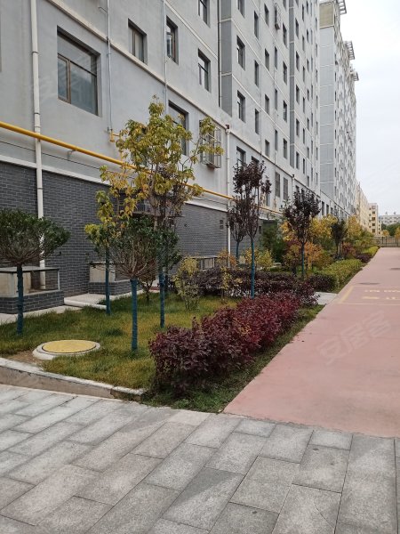 金城花园,文化西街155号-固原金城花园二手房,租房,房价-固原安居客