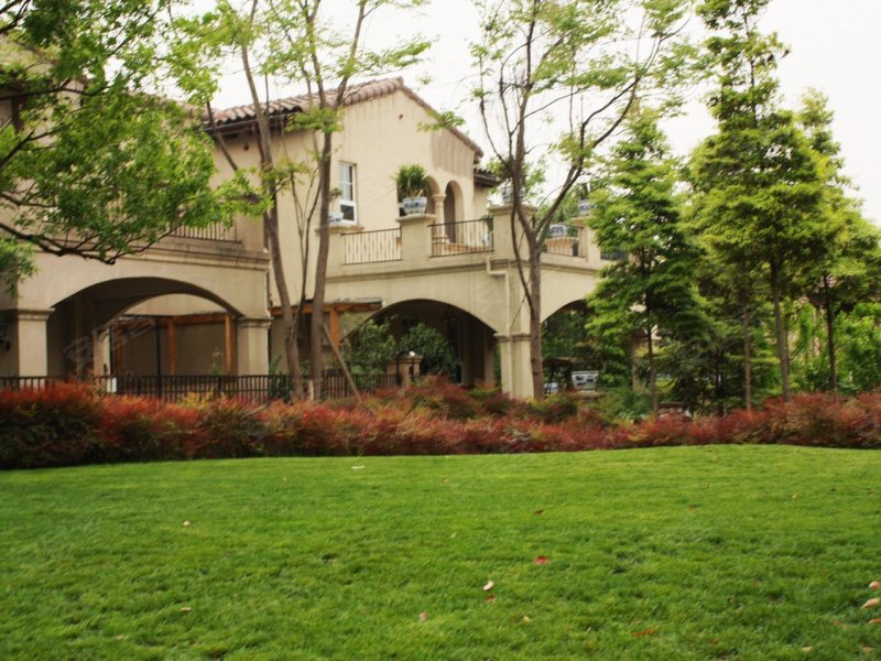 麓山国际茵特拉肯(别墅)