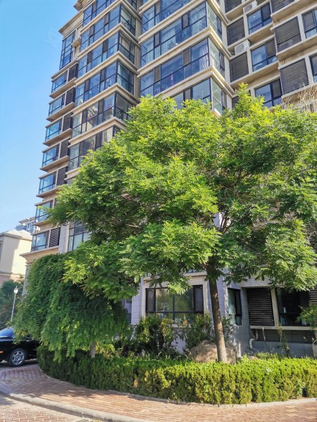 水城国际,淮河路362号-东营水城国际二手房,租房,房价-东营安居客