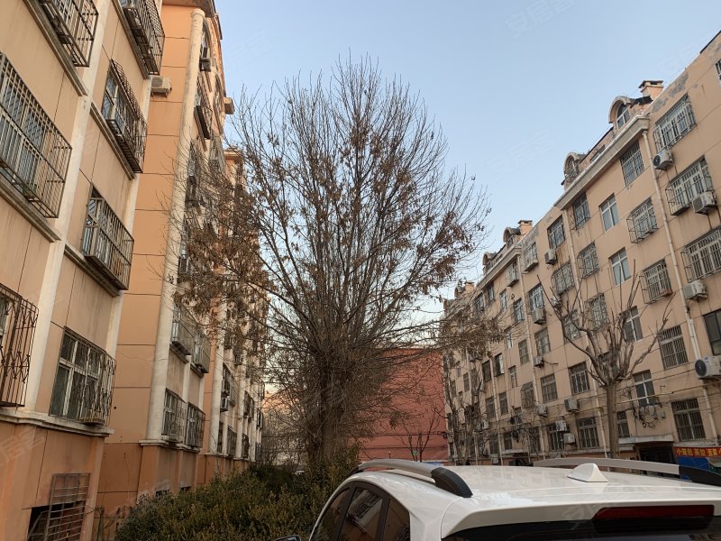 金城小区(北区)