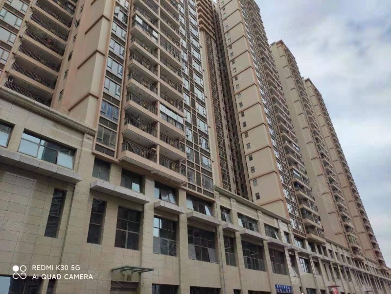 珠江花屿花城,新新六路205号-广州珠江花屿花城二手房,租房,房价-广州