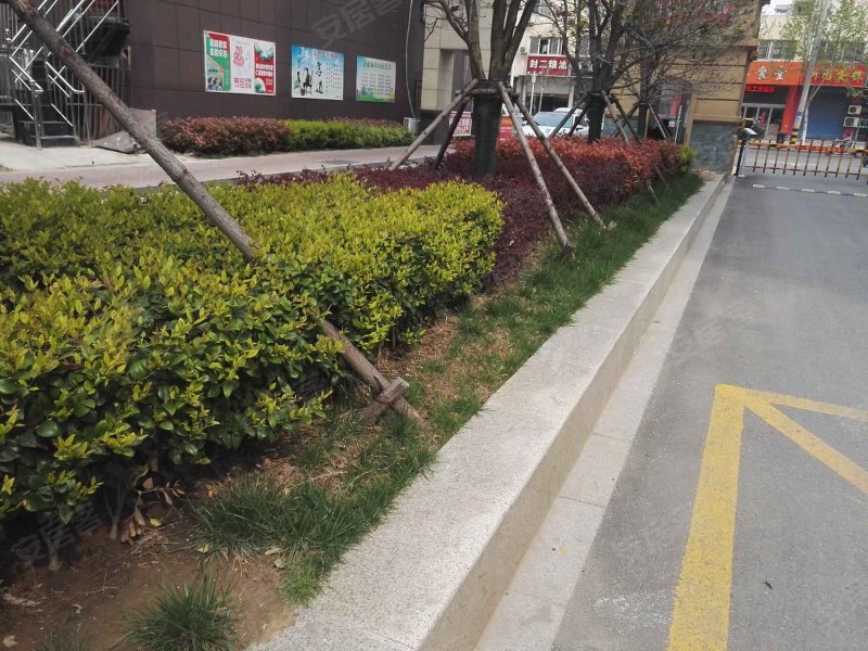 朝阳新城,南京东路-沭阳朝阳新城二手房,租房,房价-沭阳安居客