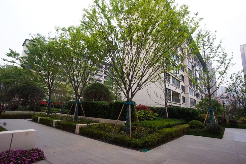 美的·君兰悦,七里路以北,金蚕路以西(美的城旁) - 镇江美的·君兰悦