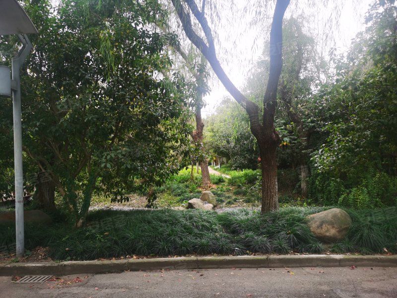 复地北桥城(东区别墅) 