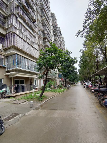 福湾新城夏雨苑b区,玉兰一路20号-福州福湾新城夏雨苑b区二手房,租房