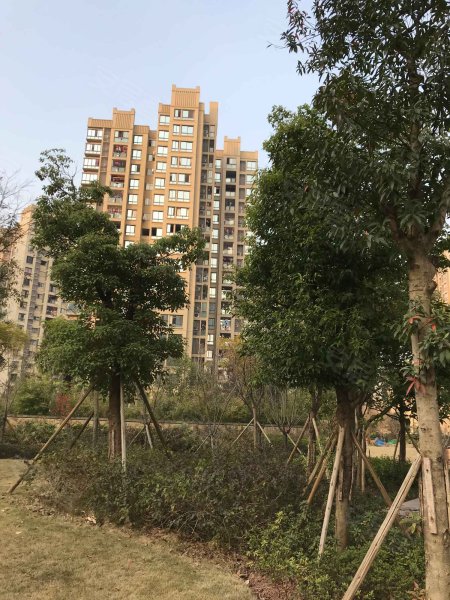 茂田铜梁印象,学府大道1号-重庆茂田铜梁印象二手房,租房,房价-重庆