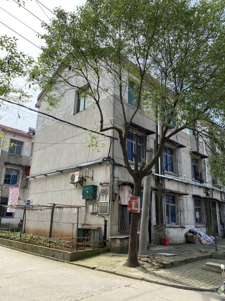 天兴洲绿岛小区