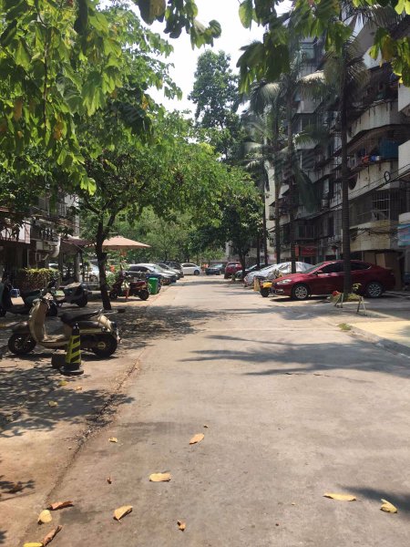 金达花园,火炬路17号-南宁金达花园二手房,租房,房价-南宁安居客