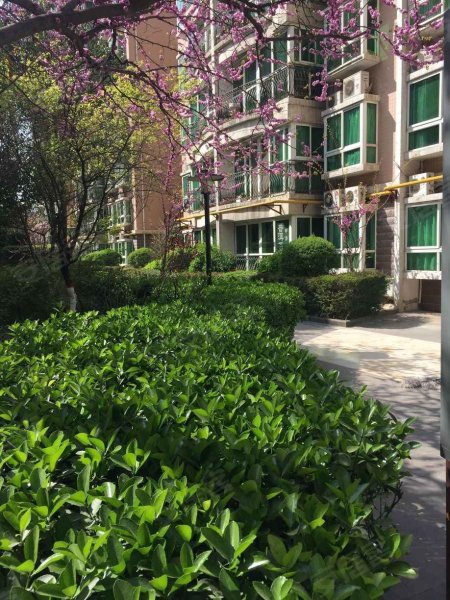 旭景名园,劳动南路128号-西安旭景名园二手房,租房,房价-西安安居客